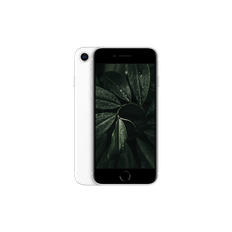 iPhone SE 2020 Vit / 128GB / Nyskick