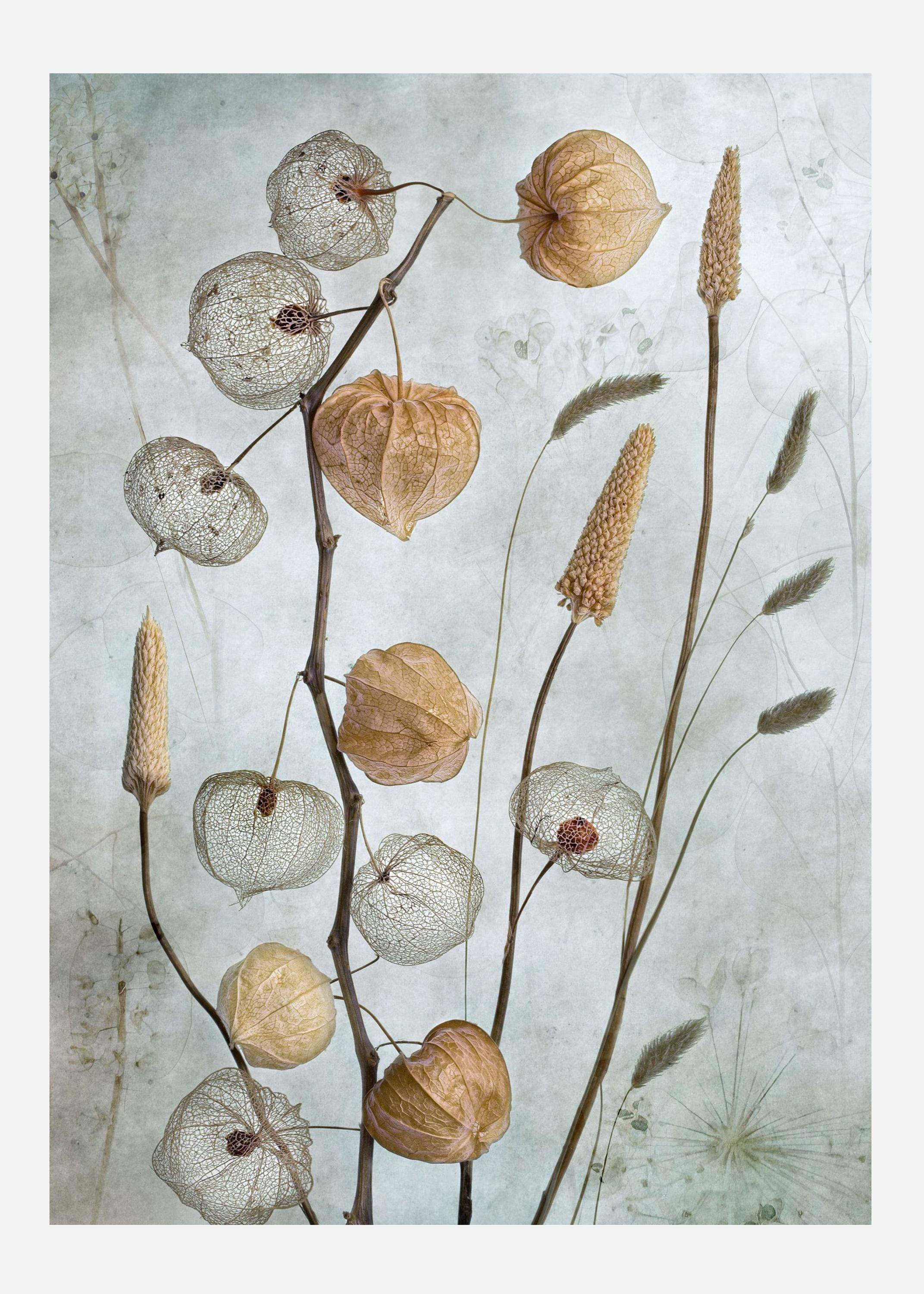 Lanterns* Canvastavla (70x100 cm)