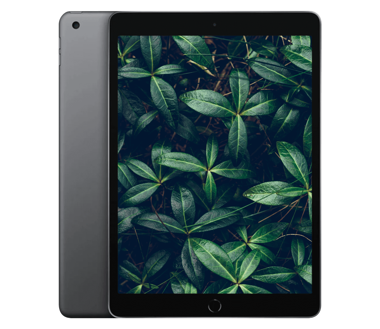 iPad 7 (2019) 10.2" WiFi