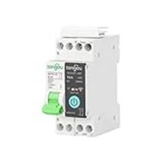 1P+N 10A/16A/25A/32A för Tuya WiFi Smart Mätbrytare Din Rail Timer Switch Röstfjärrkontroll (32A)