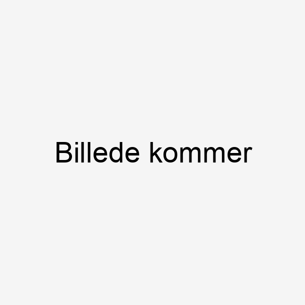 Jydepejsen Cosmo 1147 Fedtsten brændeovn