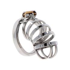 HIDDEN DESIRE – EXTREME CHASTITY COCK CAGE METAL