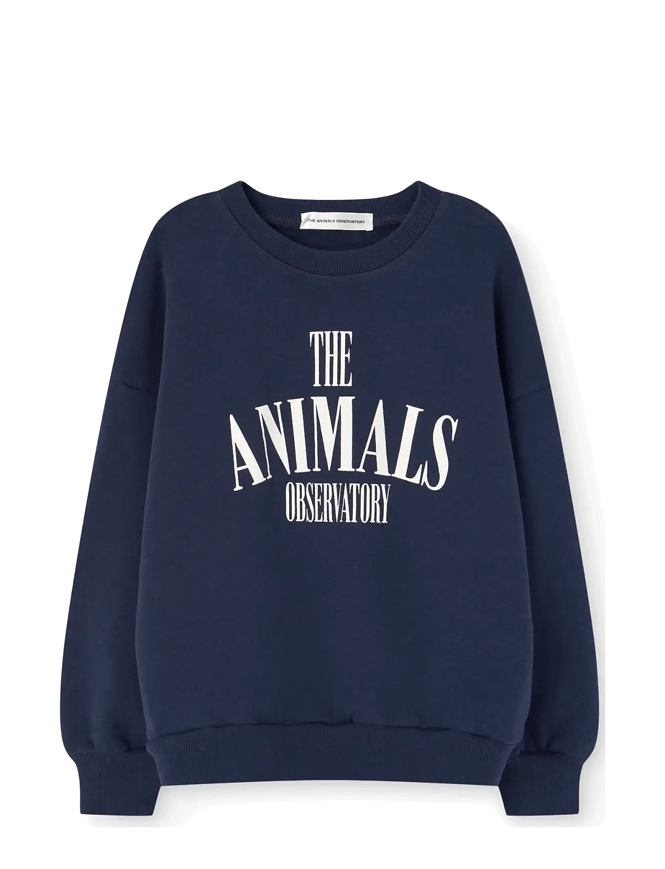 THE ANIMALS OBSERVATORY Killifish Warm Kid Sweatshirt Medium Grey Heather - Navy - 10 Y