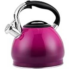 Tekokare Spishäll 3L Gradient Color Spishäll Vattenkokare Induktion Visslande Te Vattenkokare 304 Rostfritt Stål Spishäll Te Vattenkokare Tekokare Spishäll(Purple)