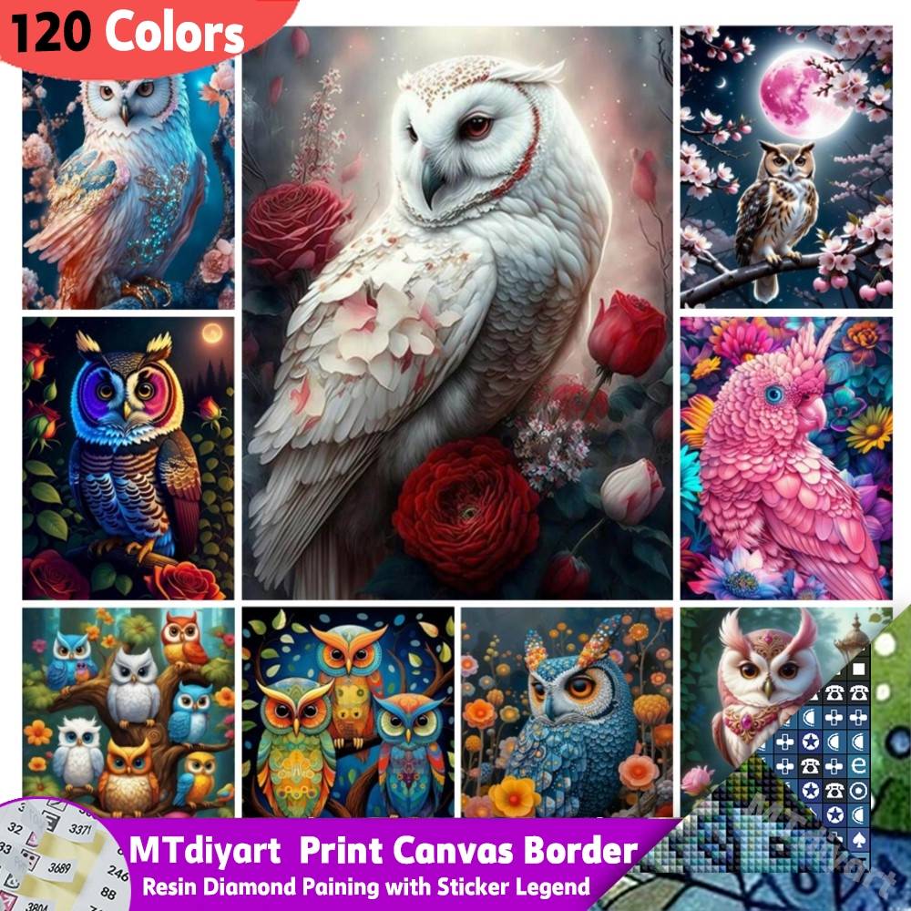 Colorful Owl 120 Colors Resin Diy Diamond Painting Sticker Legend Kits New Collection Rhinestone Art Mosaic Animals Wall Decor