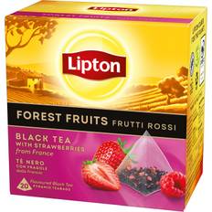 Lipton Forest Fruit Black Tea Pyramid 20-pack