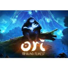Ori and the Blind Forest (PC)