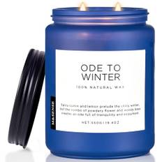 M&SENSE Doftljus för Art Deco, Ode to Winter Sojaljus med Stark Doft, 2 Wick Burkljus 550g, 110 Timmars Långvarig Bränning, Lavendel & Sandelträ, Naturlig Aromaterapiljus för Camping & Massage