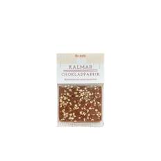 Ekologisk choklad med hasselnötter (20g)