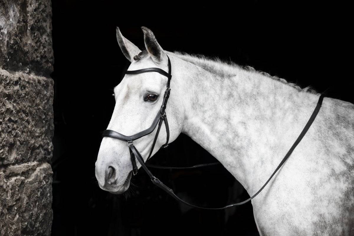 Träns Bettlöst Micklem Horseware