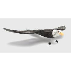 Flying Animal - Eagle