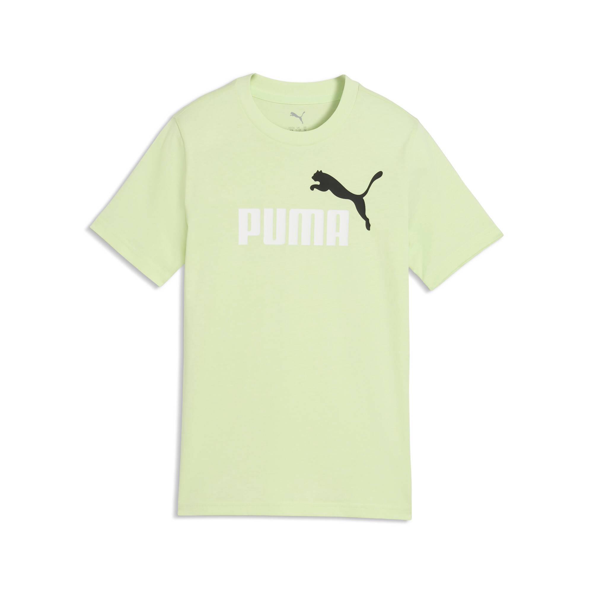 PUMA Essentials Colour No.1 Logo Tee Youth, Age, Apple Spritz, 15-16Y