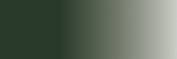 US Dark Green