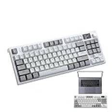 RGB Mechanical Keyboard, Wireless Mechanical Keyboard, PC Keyboard with 2.4GHz Wireless, Wired/ 5.0 Pack Mount | Hot-Swappable Keyboard for Internet Bar, Home, Dorm