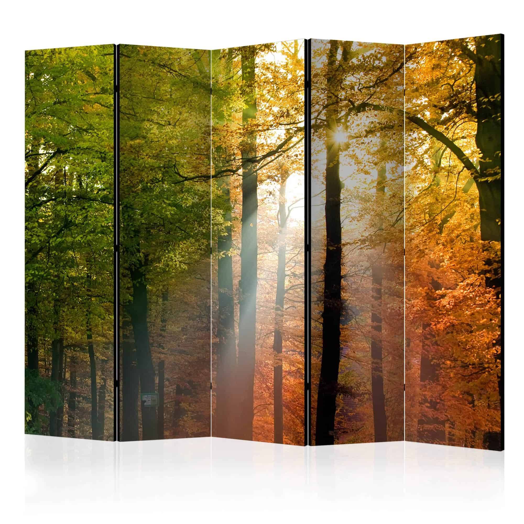 Skærmvæg Forest Colours II