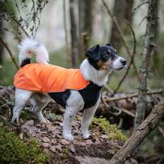 Feel Active Drammen Hundtr&ouml;ja Orange (45 cm)