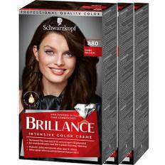 Schwarzkopf Brillance 880 Dark Brown 3-pack