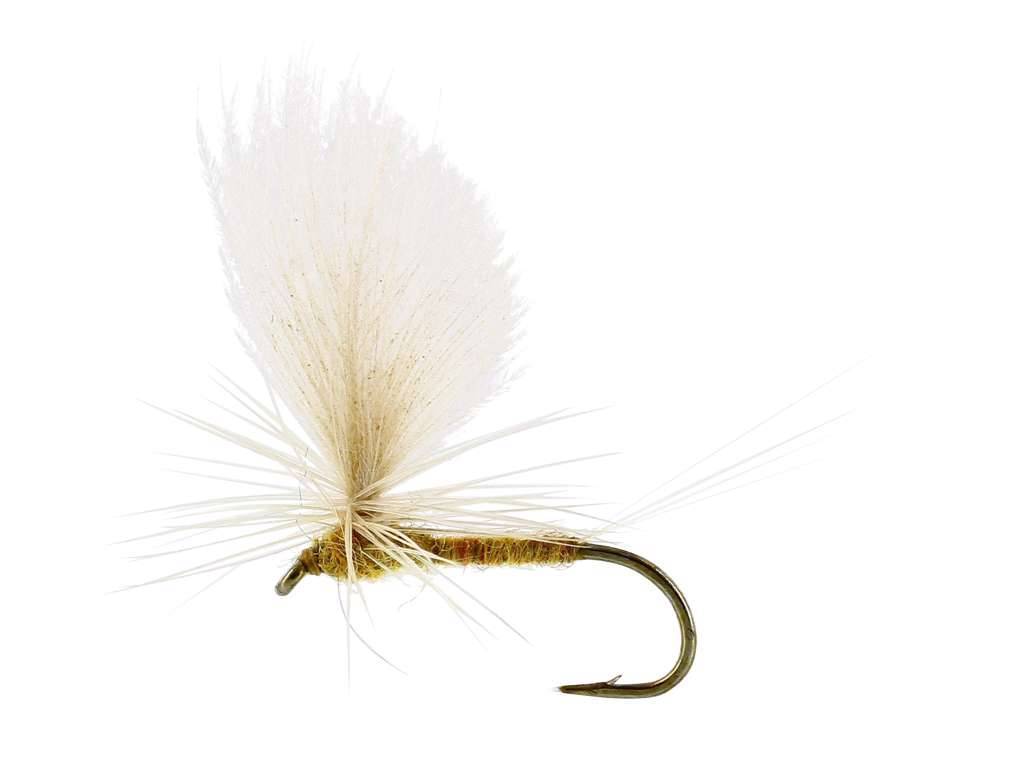 Unique Flies Sulphurea Dun Ginger