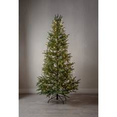 Star Trading Juletræskæde Shiny Warm White 2m 594-63