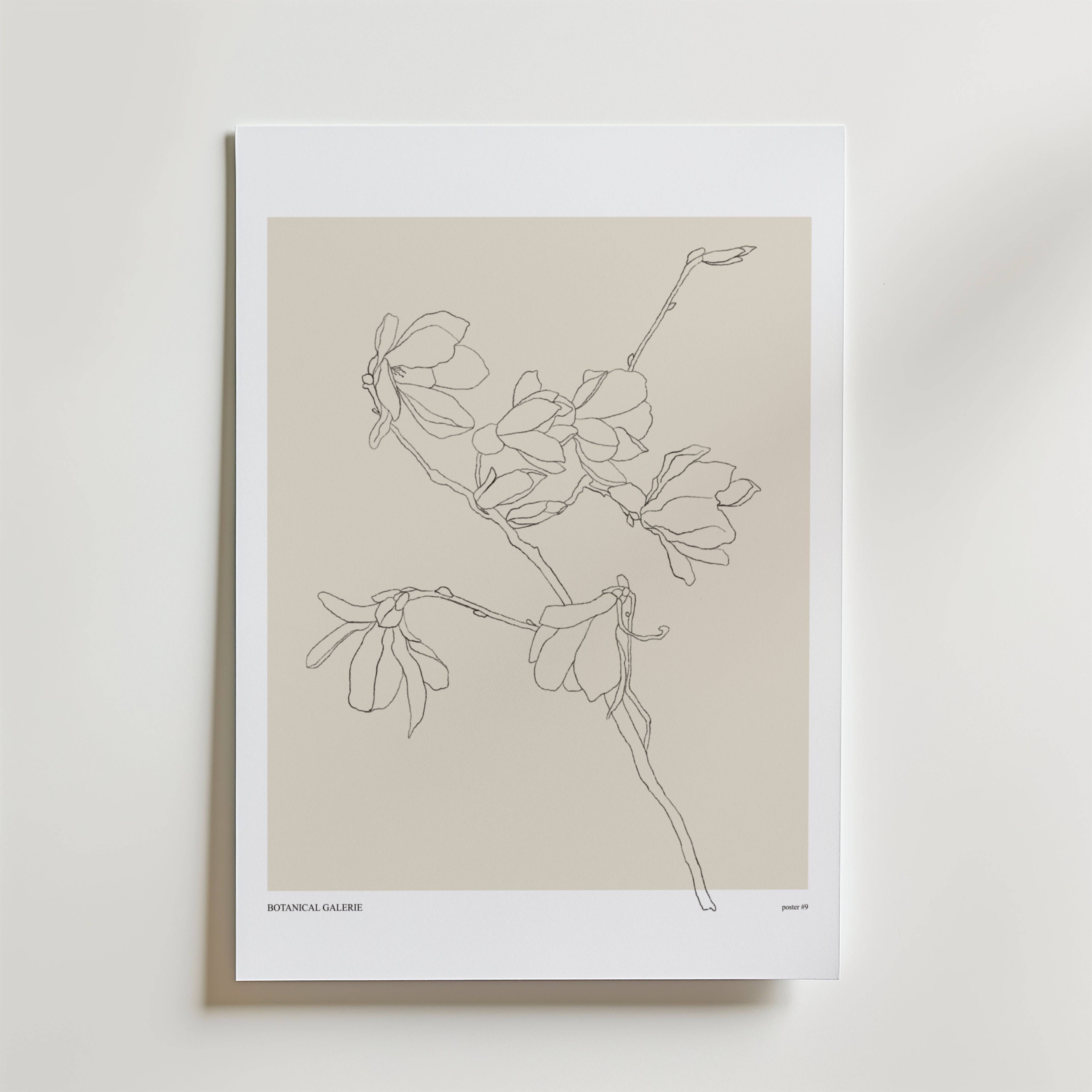 Soft Reaching Poster - Fine Art Poster 21x30 cm