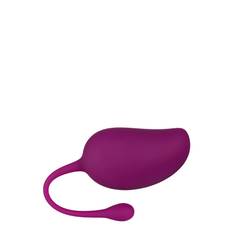 Amaysin Amaysin Deluxe Kegel Ball 104 G Lila