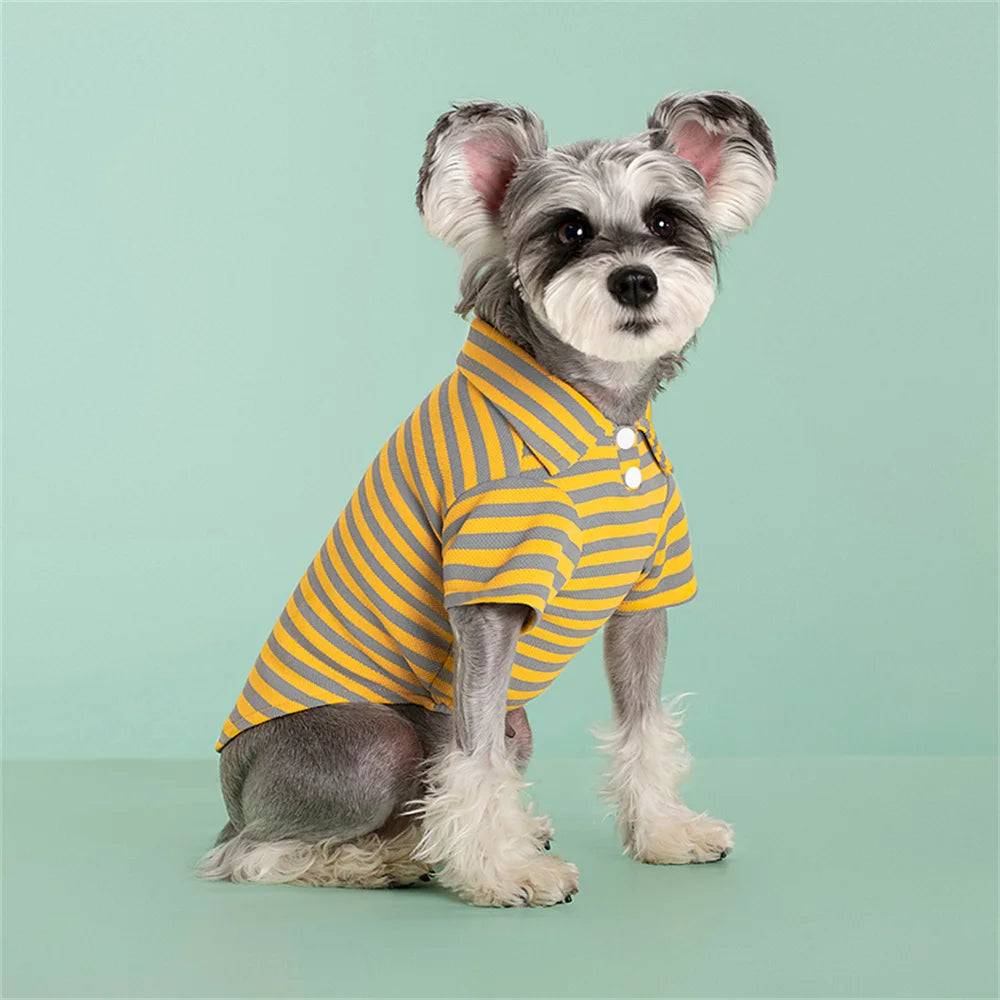 Striped Polo Shirt for Cats & Small Dogs - Yellow Fine Stripe / S-suit 1-1.5kg / SPC (S-suit 1-1.5kg)
