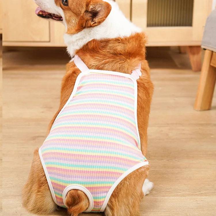 Striped Adjustable Physiological Shorts for Female Dogs - Pink Stripe / M-suit 3-6.5kg (M-suit 3-6.5kg)