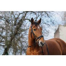 Norton Trænings Trense Sort Black (Shetland)