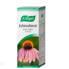 Echinaforce 100 ml. TILBUD