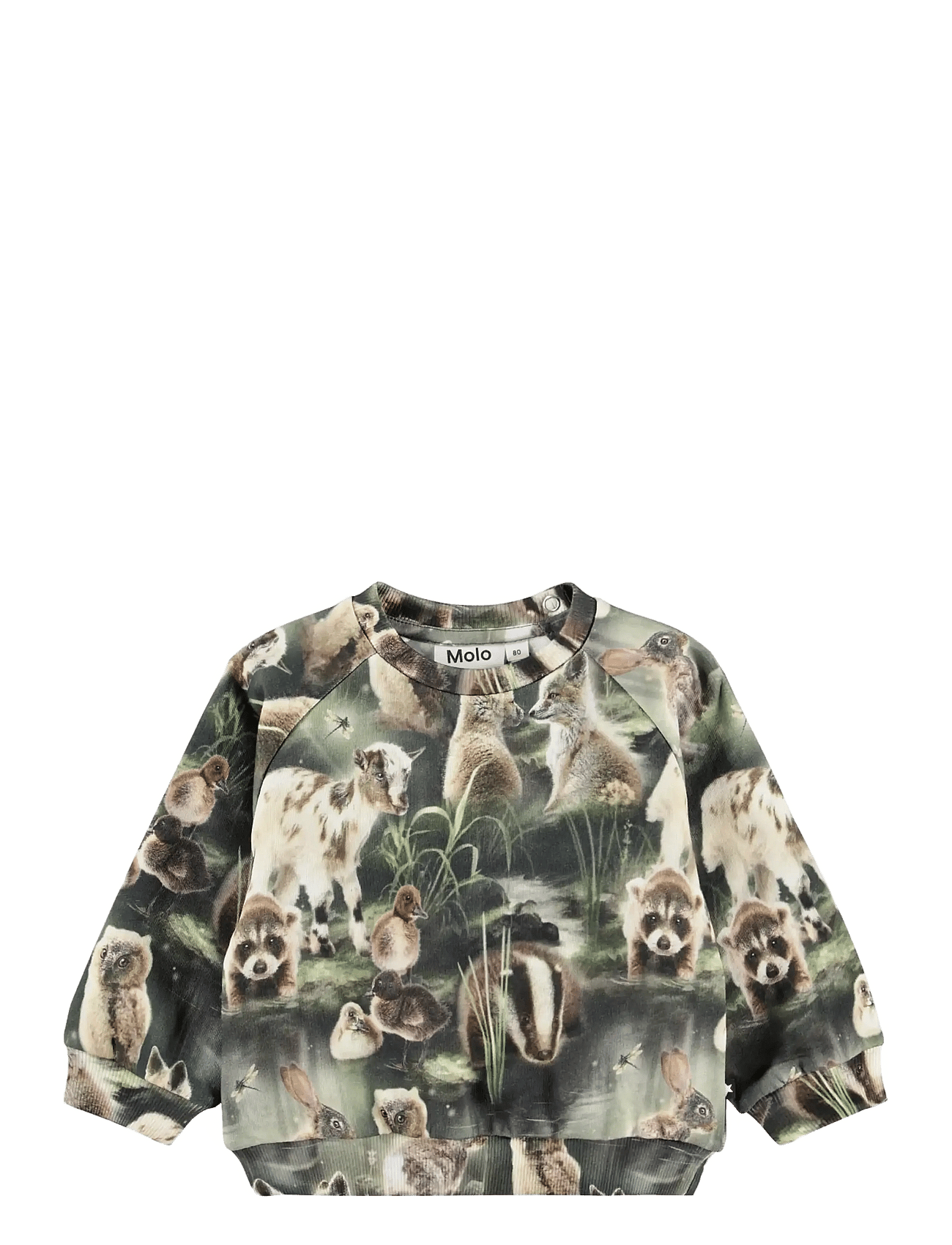 MOLO Disc | Khaki green | 104
