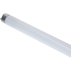 Lysrör T8 18W/830 G13