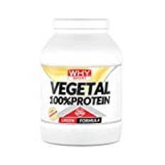 WHY SPORT VEGETAL 100% PROTEIN - Vegetabiliskt protein - Protein i Pulver – Ärt- och risprotein – Vaniljsmak – 750 g