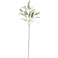 Bloomingville Eucalyptus Kunstig Stilk 85 cm, Grøn/Brun