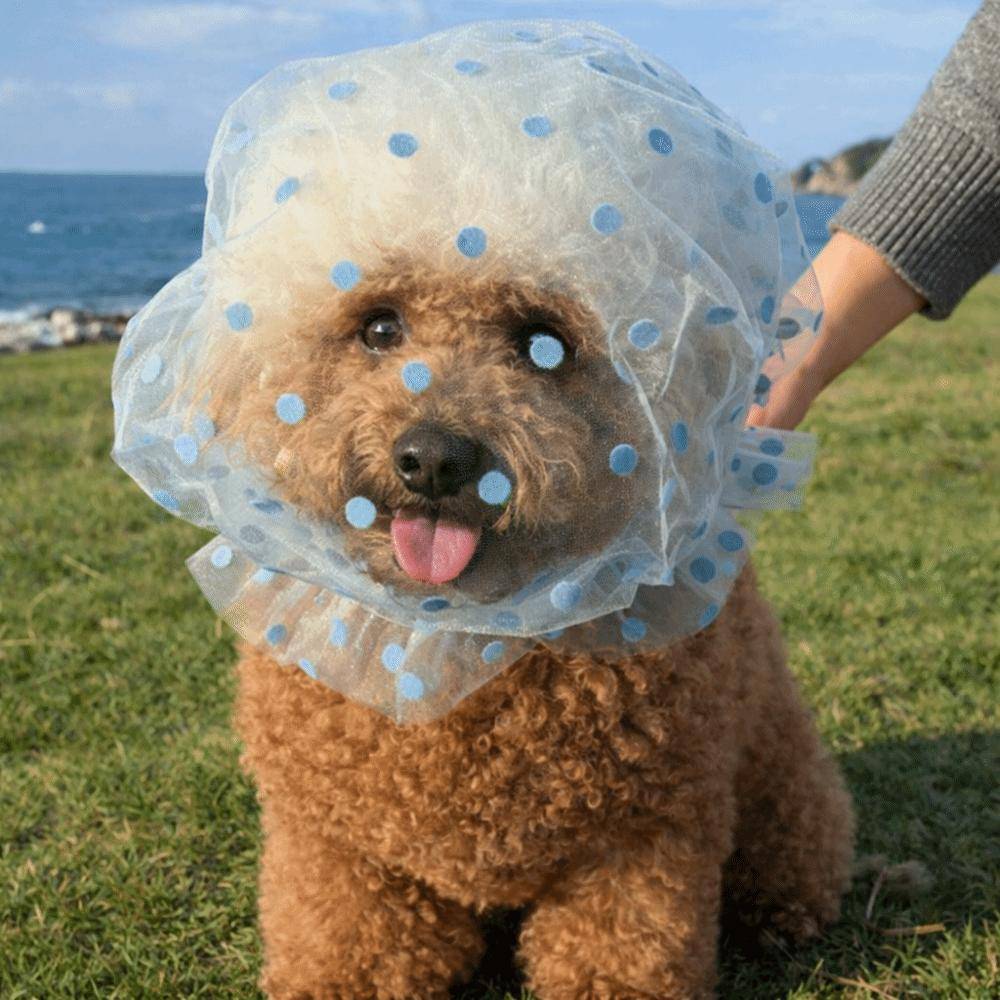 Nätad Husdjurs Anti-Mygg Huvudbonad Andningsbar Justerbar Hund Anti-Lick Huvudbonad Kärlek/Vågpunkt Mönster Hund Skyddsmask blå