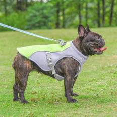 Detixy Kylväst - Optimal Kylning för Din Hund - Bäst i test Kyltäcke Grön / L