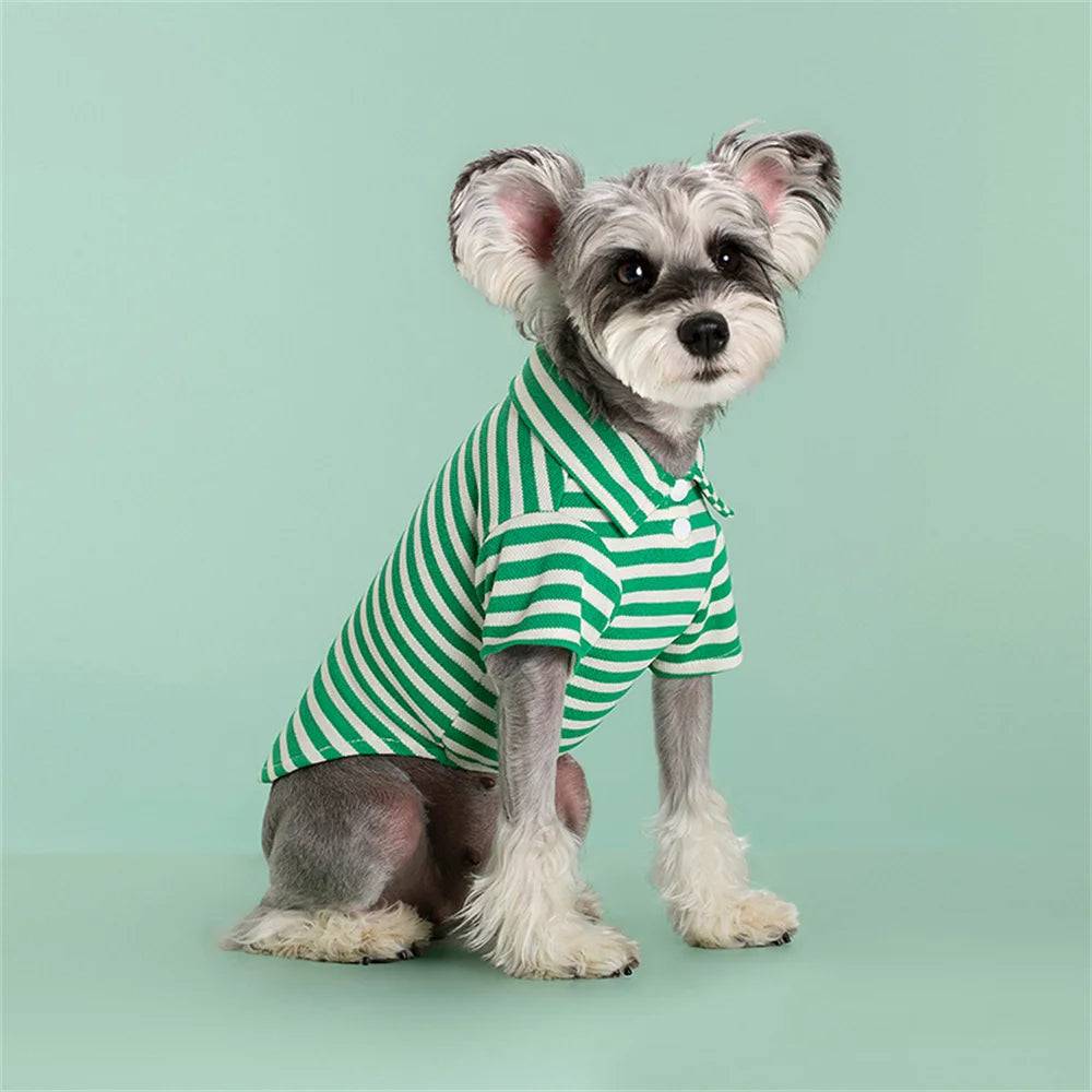 Striped Polo Shirt for Cats & Small Dogs - Green Fine Stripe / XL-suit 4-5.5kg / SPC (XL-suit 4-5.5kg)