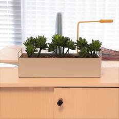 Potte til kontorplanter Plantekasse