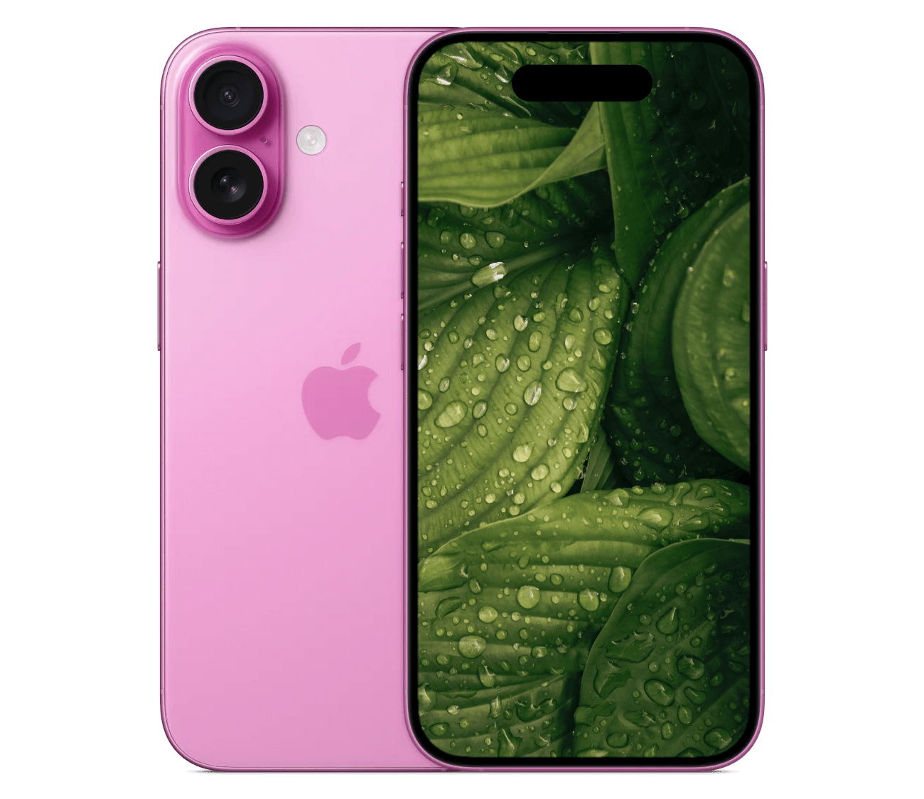 iPhone 16