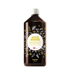 Vita Biosa Ingefær - Økologisk - 1000 ml
