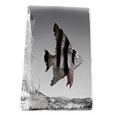 Nybro Crystal Skalar