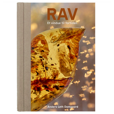 Bog: Rav - Et vindue til fortiden