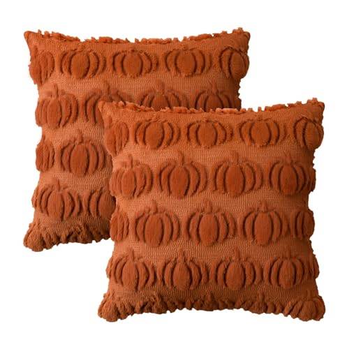 Artoid Mode Caramel Pelz Kürbisse Herbst 50x50 cm 2er Set Kissenbezüge
