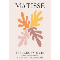 Henri Matisse Coloured Corals A4 plakat