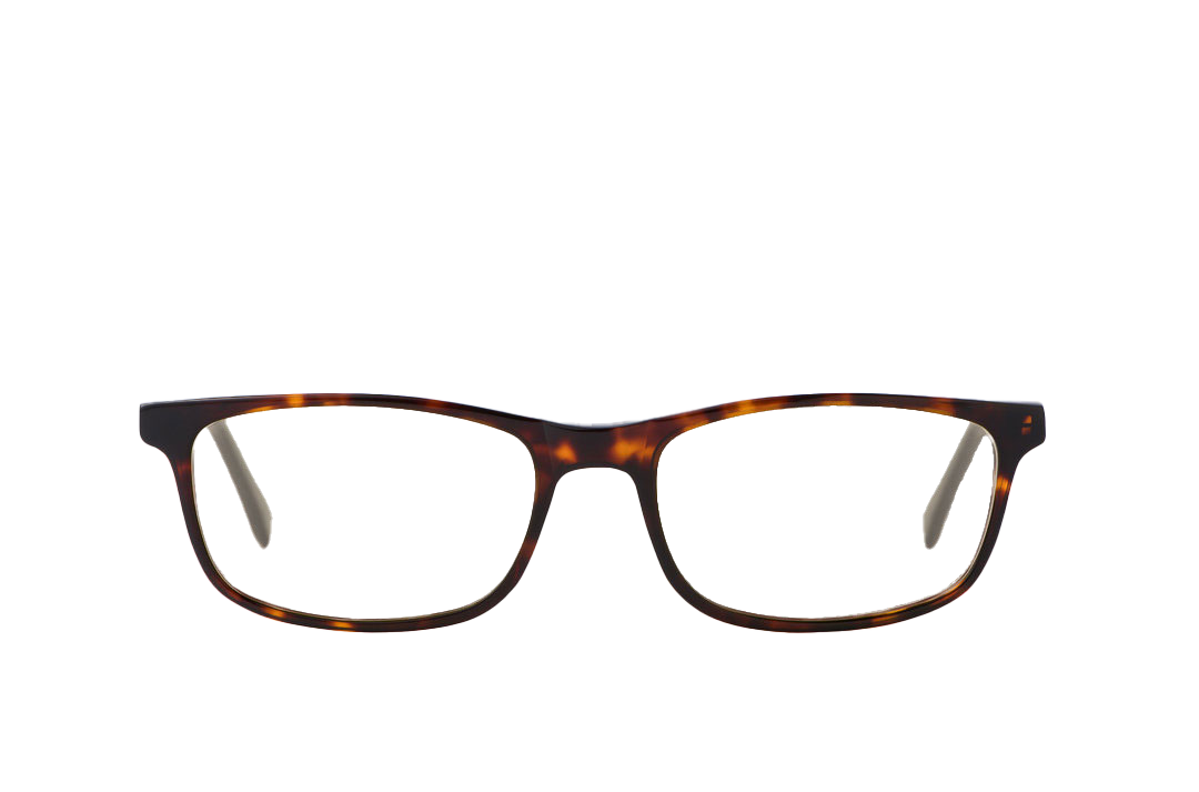 Tortoise Shell Computer Glasses Readers(+0.25)
