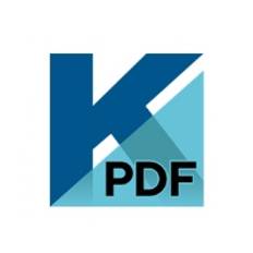 Kofax Power PDF Advanced - (v. 4) - licens - 1 bruger - volumen - Niveau D (100-199) - Win