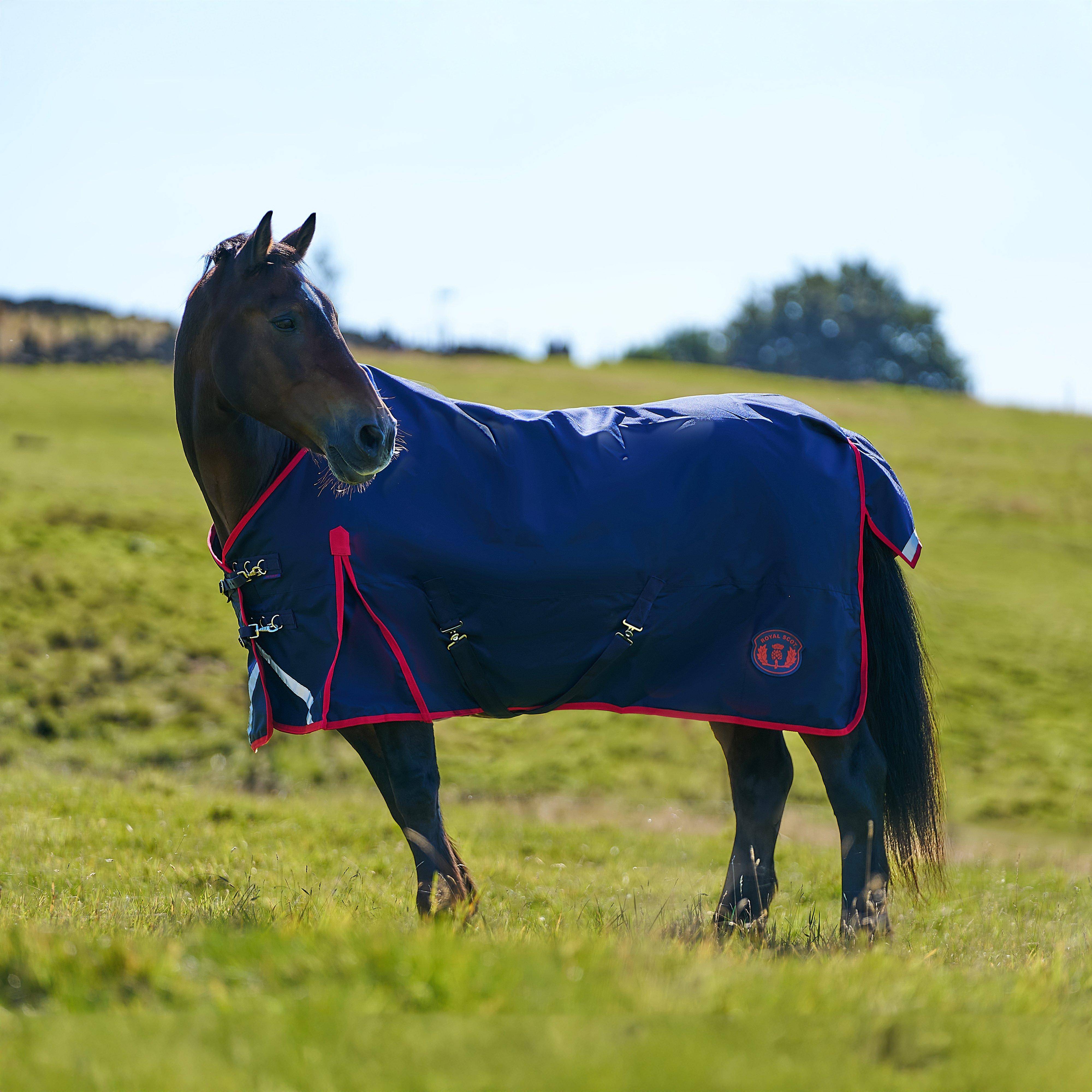 Royal Scot Original 50g Lightweight Standard Neck Turnout Rug Navy/Red, Navy/Red - 6'0