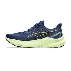 ASICS GT-2000 12 GTX Herre