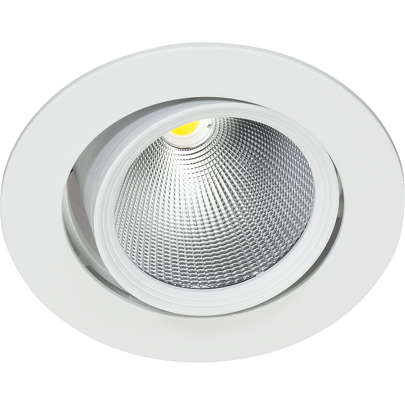 Easyform Pride Downlight ställbar, 360°/ 20° 44W
