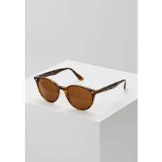 Ray-Ban Solbriller - dark brown