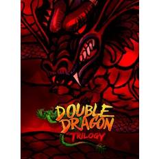 Double Dragon Trilogy Steam Key GLOBAL